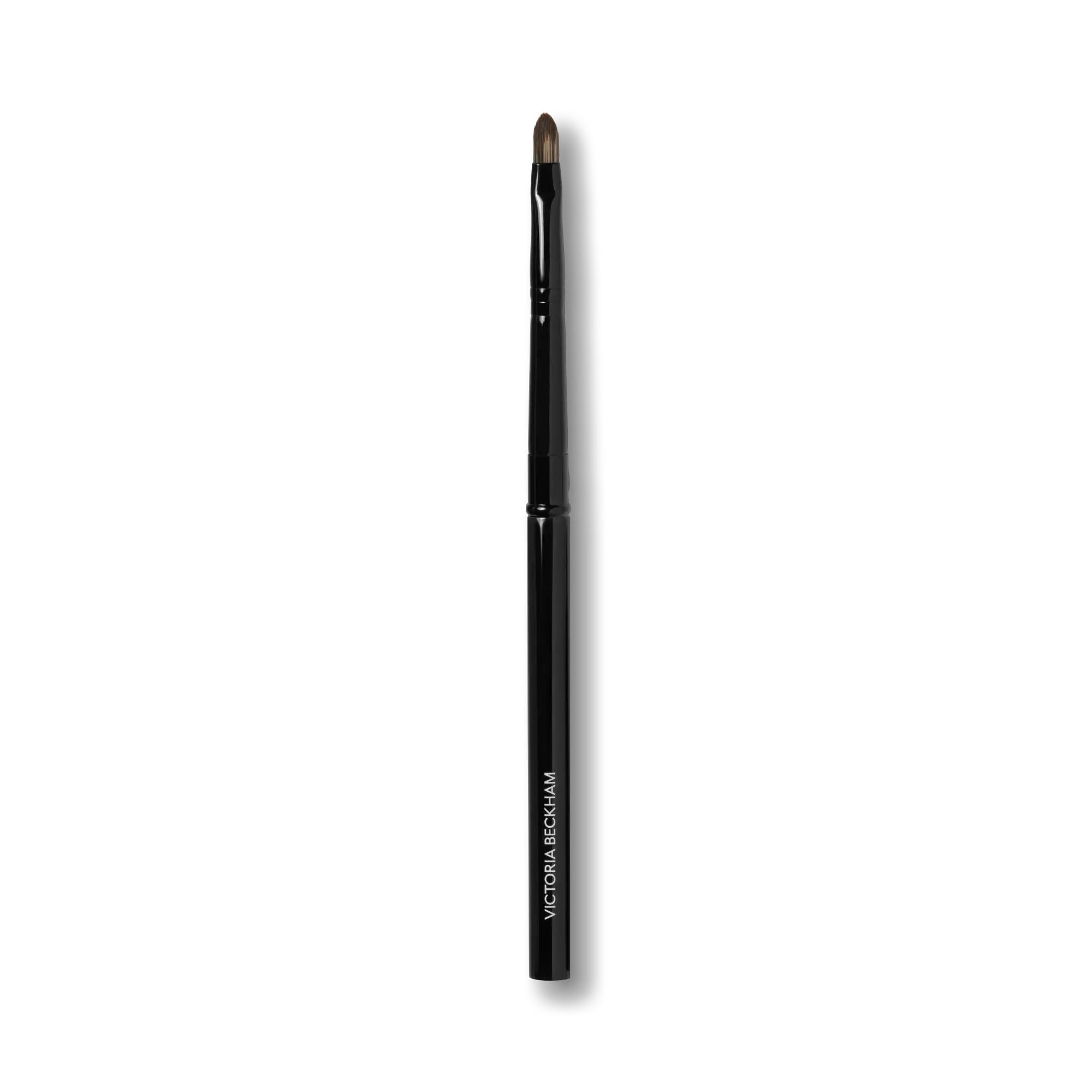 30. Detailed Lip Brush